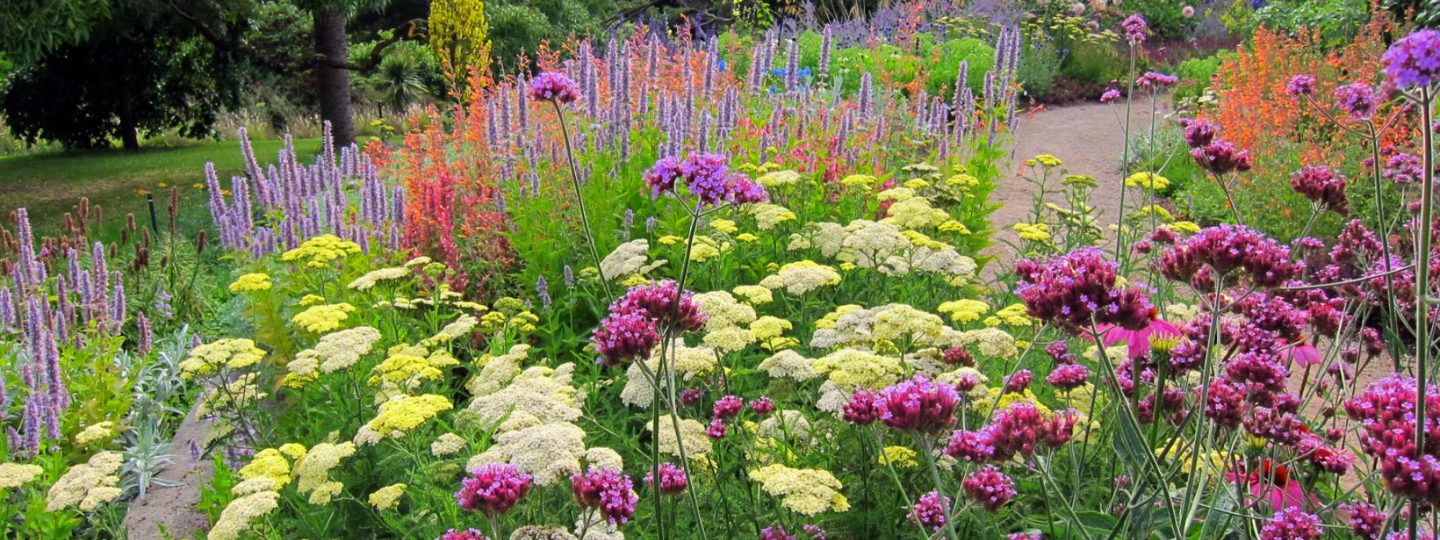 Albert Garden