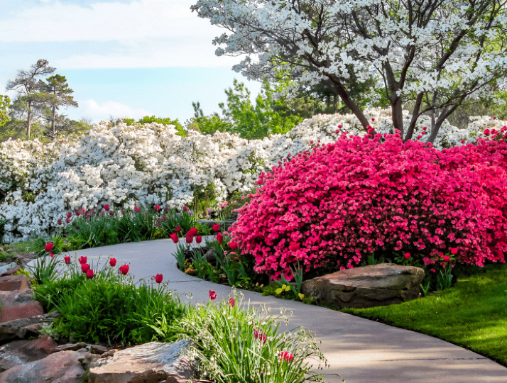 Albert Garden
