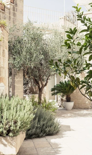 Albert Garden