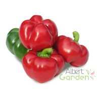 Gogorez paprika