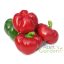 Gogorez paprika