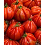 Pomodoro Cuor Di Bue Albenga F1