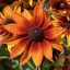 Kúpvirág 'Rudbeckia × hybrida Summerina Sunreef’
