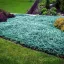 Kék kúszó henyeboróka 'Juniperus horizontalis Blue Chip'