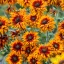 Narancspiros kúpvirág Rudbeckia Happy SmileyZ évelő sötét középpel, bőséges virágzás