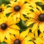 Aranysárga kúpvirág Rudbeckia SmileyZ Grace évelő barna középpel, tömegvirágzás