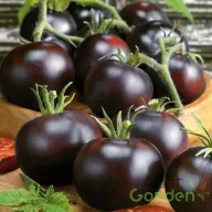 Fekete paradicsom 'Moravo Seed Blackball'