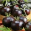 Fekete paradicsom 'Moravo Seed Blackball'