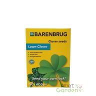 Mikrohere 'Barenbrug clover Seeds Lawn Clover'