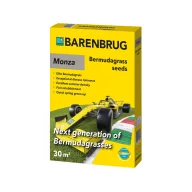 Monza csillagpázsit