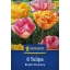 Tulipán 'Bright Harmony'