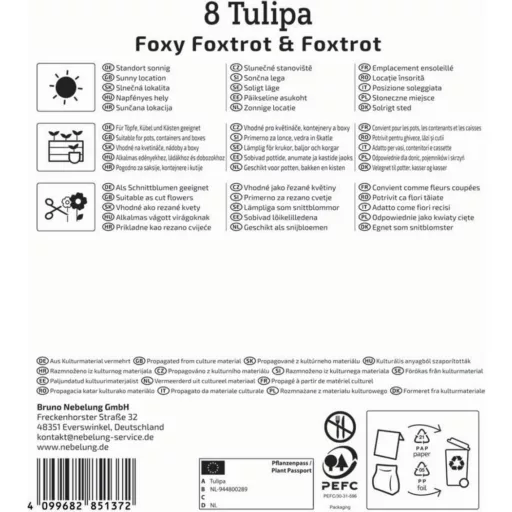 Tulipán 'Bright Harmony'