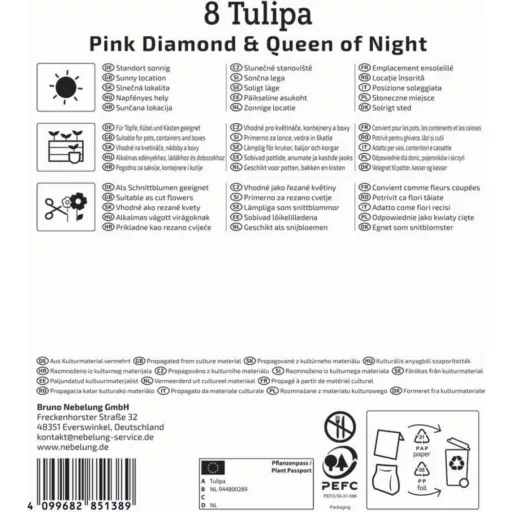 Tulipán 'Candy Friends'