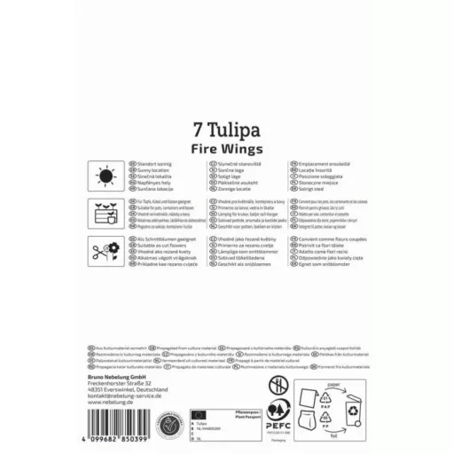 Tulipán 'Fire Wings'