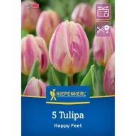Tulipán 'Happy Feet'