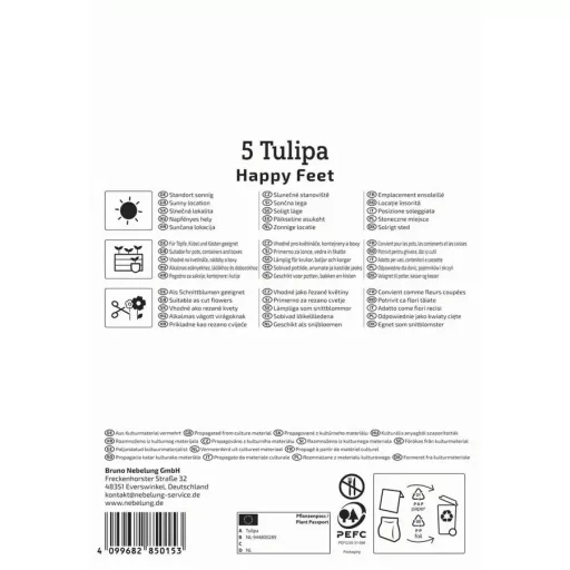 Tulipán 'Happy Feet'