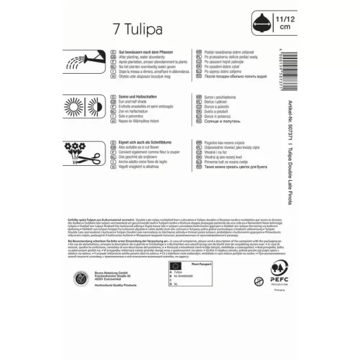 Tulipán 'Finola'