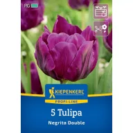 Tulipán 'Negrita Double'