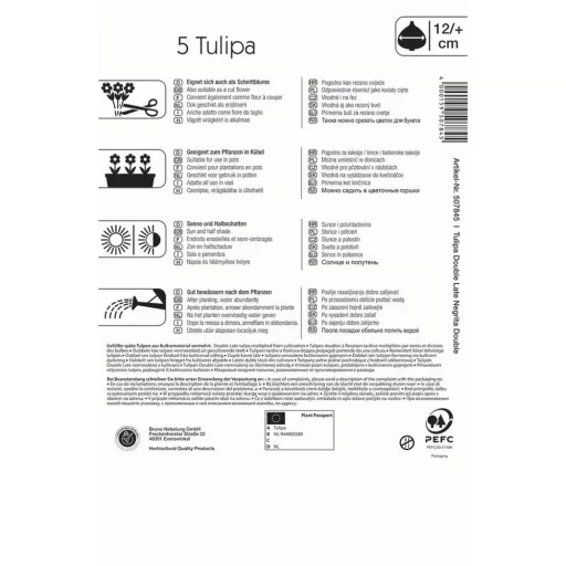 Tulipán 'Negrita Double'