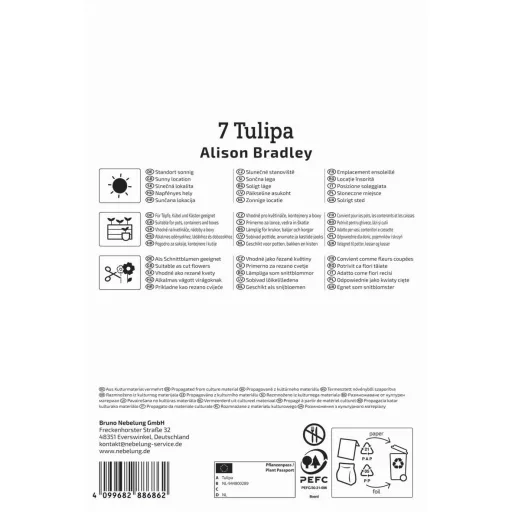Tulipán 'Alison Bradley'