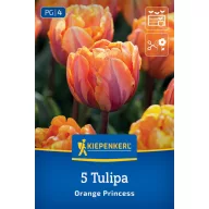 Tulipán 'Orange Princess'