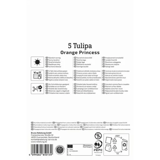 Tulipán 'Orange Princess'