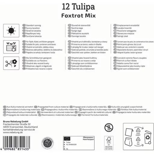 Tulipán 'Foxtrot Mix'