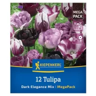 Tulipán 'Dark Elegance Mix'