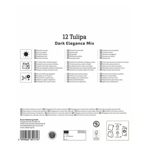 Tulipán 'Dark Elegance Mix'