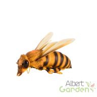   Felakasztható méhecske polyresin szobor, kültéri és beltéri dekorációs kiegészítő