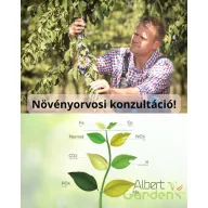 Növényorvos házhoz megy