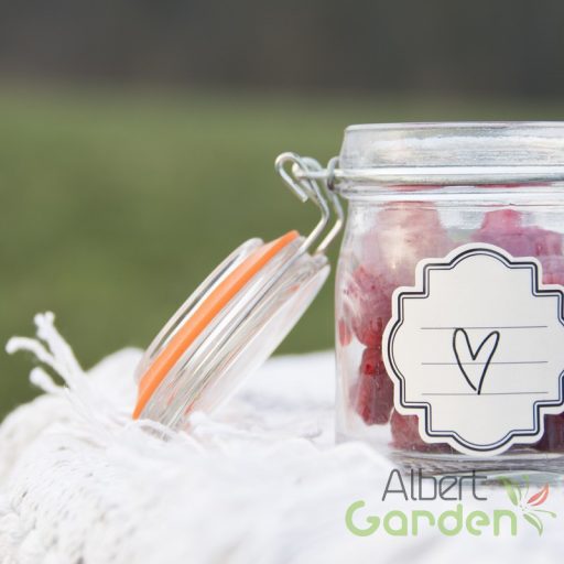 Csatos tároló üveg szett, 12 db-os