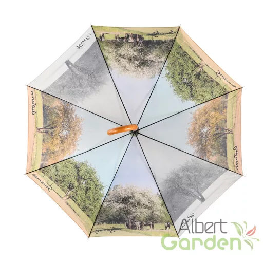 Négy évszak esernyő, 120 cm átmérőjű